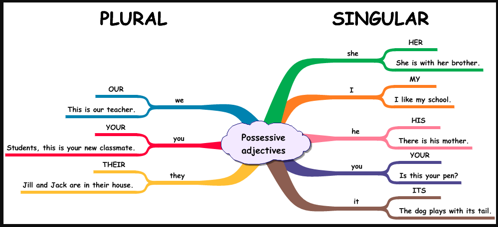 These are our. Possessives игры. Местоимения в английском Mind Map. Интеллект карта английские местоимения. Possessive adjectives Board game.